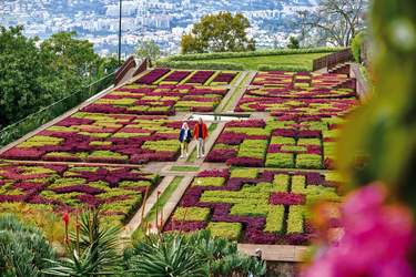 Saga Cruises Madeira Excursion 2 ©Saga Cruises.jpg